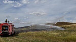 Flächenbrand und Falkenrettung fordern Feuerwehren