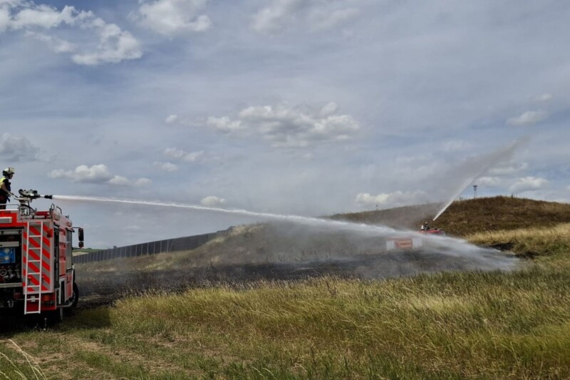 Flächenbrand und Falkenrettung fordern Feuerwehren