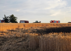 Getreidefeld in Duchroth in Flammen
