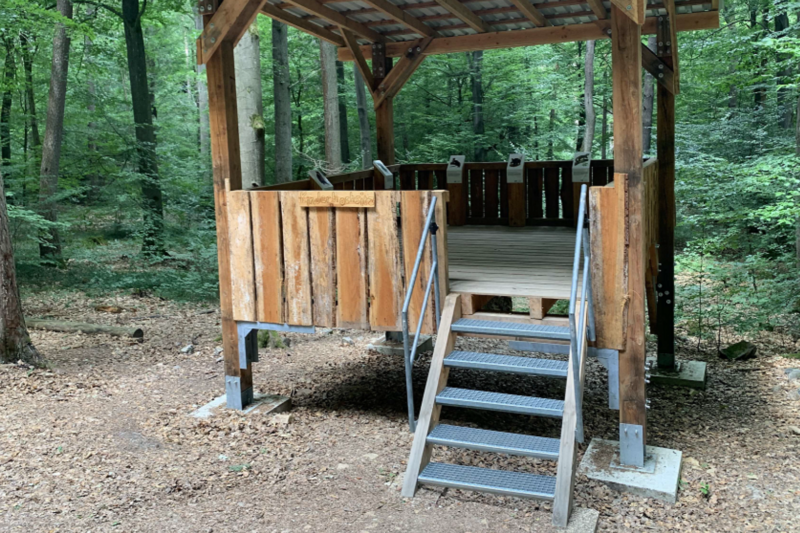 Neuer Kinderhochsitz im Binger Wald
