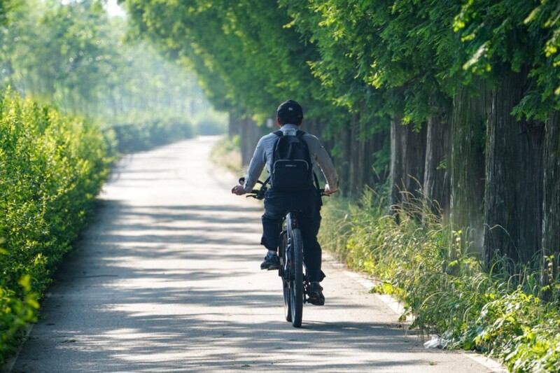 Radfahrer stürzt bei Bingen und wird schwer verletzt