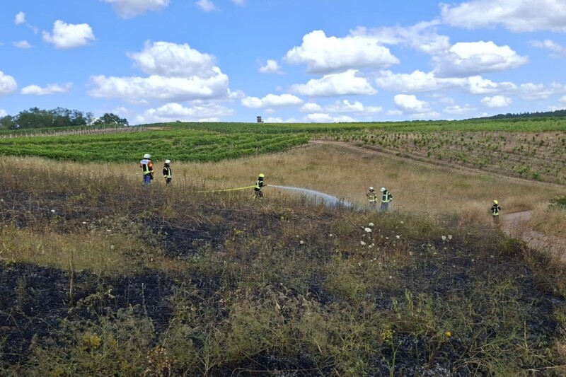 Sieben Einsätze für Feuerwehr Langenlonsheim Stromberg