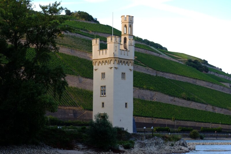 Stadt Bingen warnt vor Spaziergängen zur Mäuseturminsel