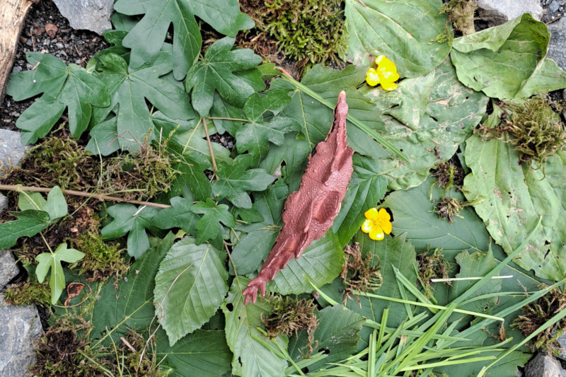 Unterricht im Wald begeistert Kirner Grundschüler