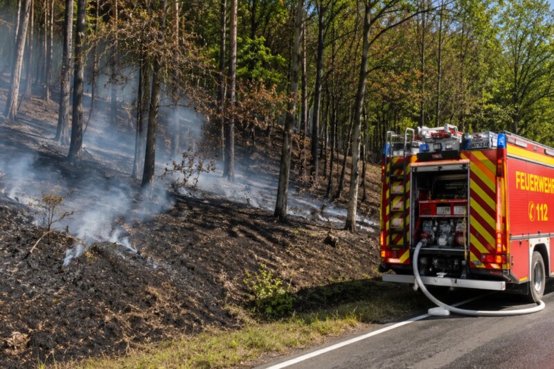 Waldbrand bei Berschweiler: Polizei sucht Zeugen