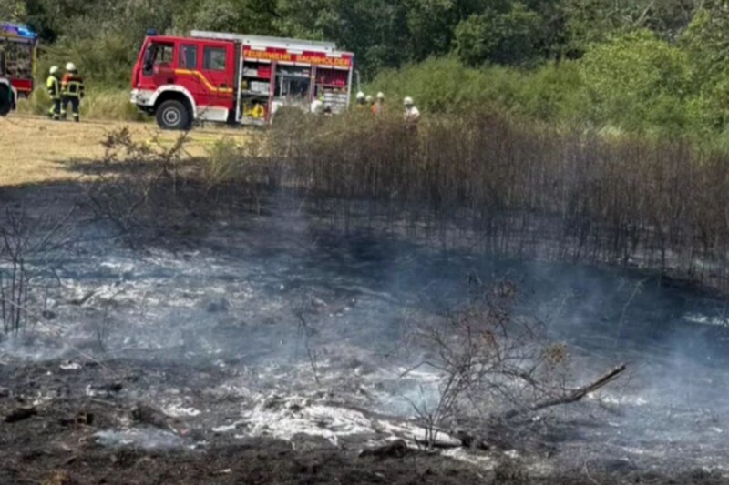 Waldbrand bei Reichenbach unter Kontrolle