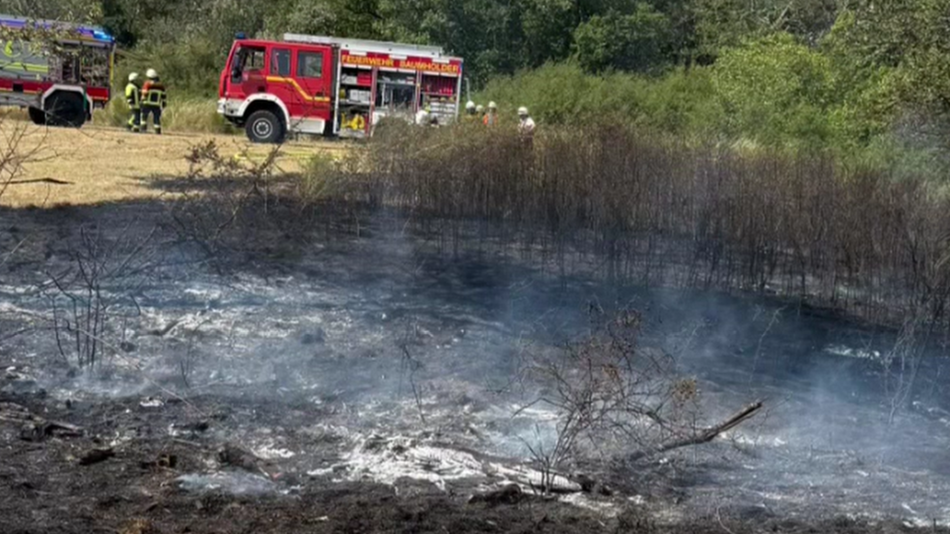 Waldbrand bei Reichenbach: Panzer im Einsatz
