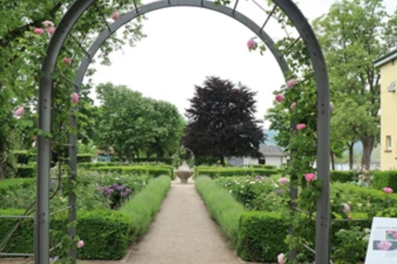 Wassermangel im Binger Hafenpark