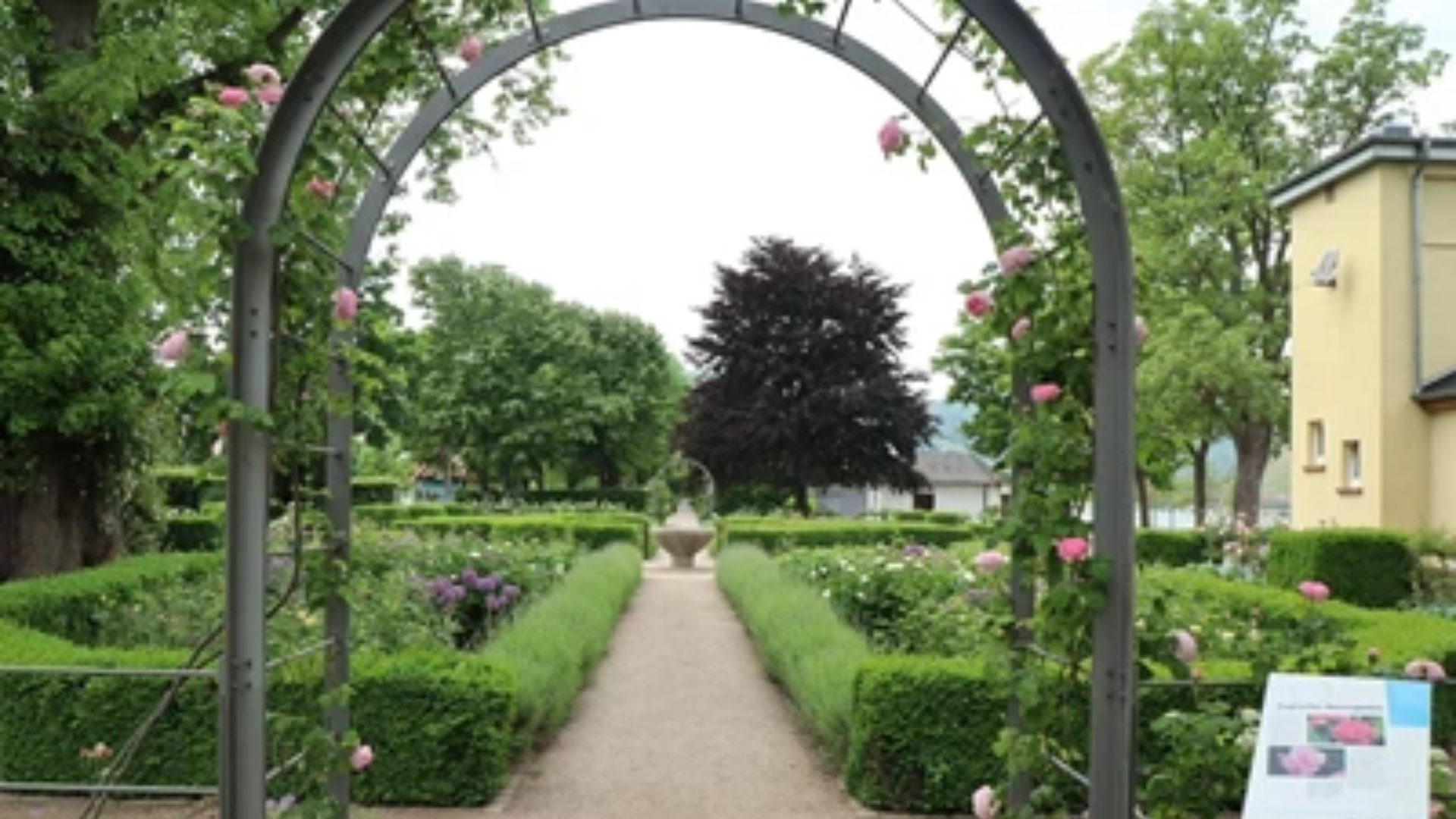 Wassermangel im Binger Hafenpark