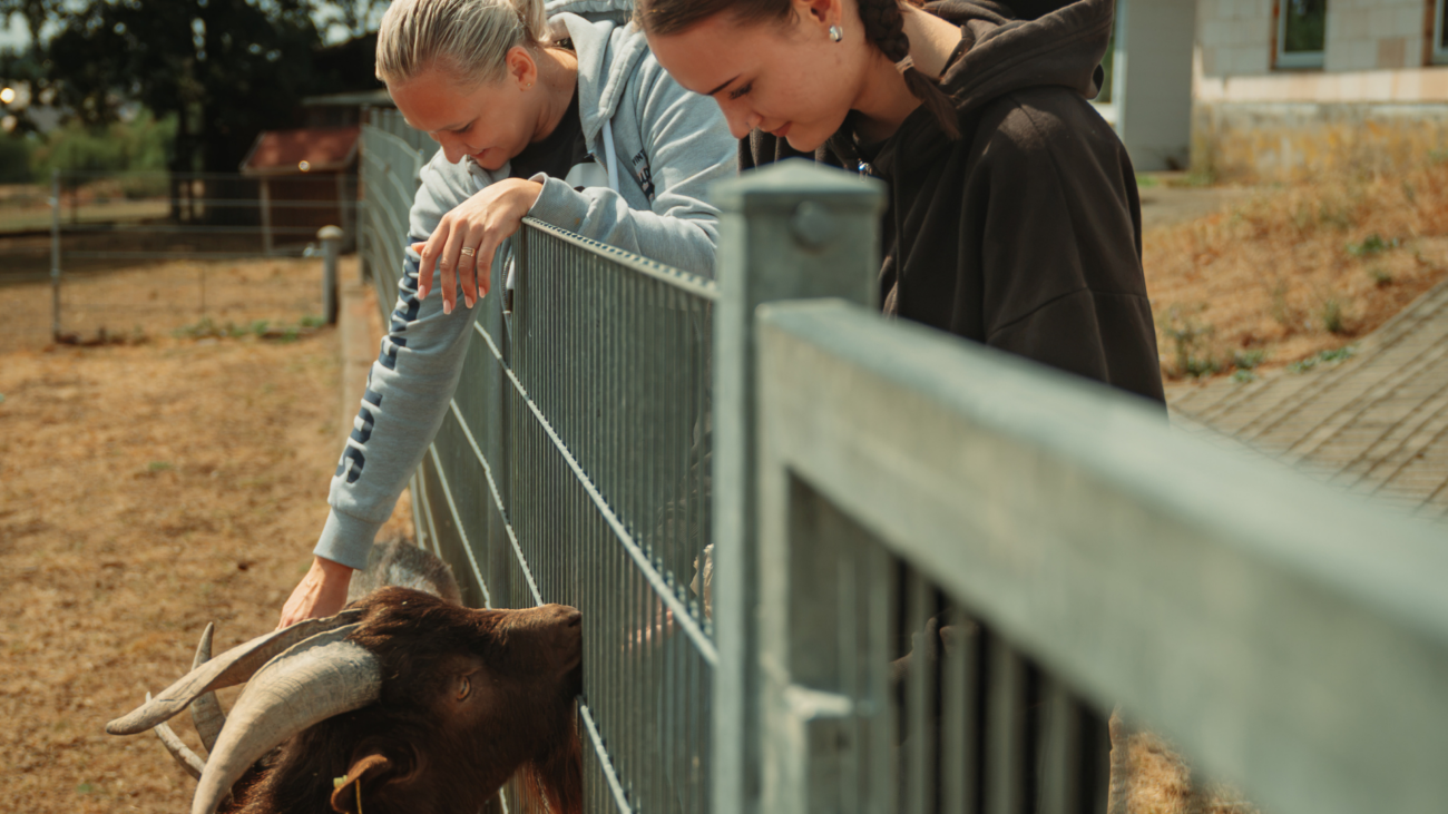 50 Azubis packen gemeinsam im Birkenfelder Tierpark an
