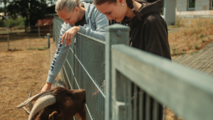 50 Azubis packen gemeinsam im Birkenfelder Tierpark an