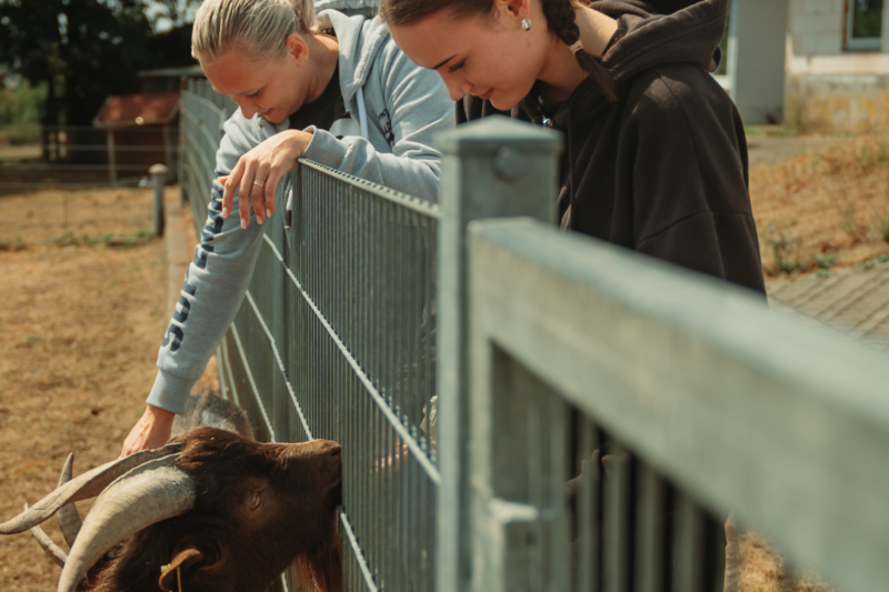 50 Azubis packen gemeinsam im Birkenfelder Tierpark an