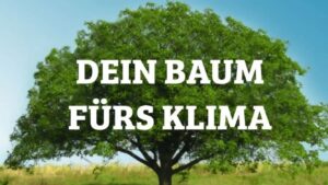 Bingen vergibt kostenlose Bäume für private Grundstücke