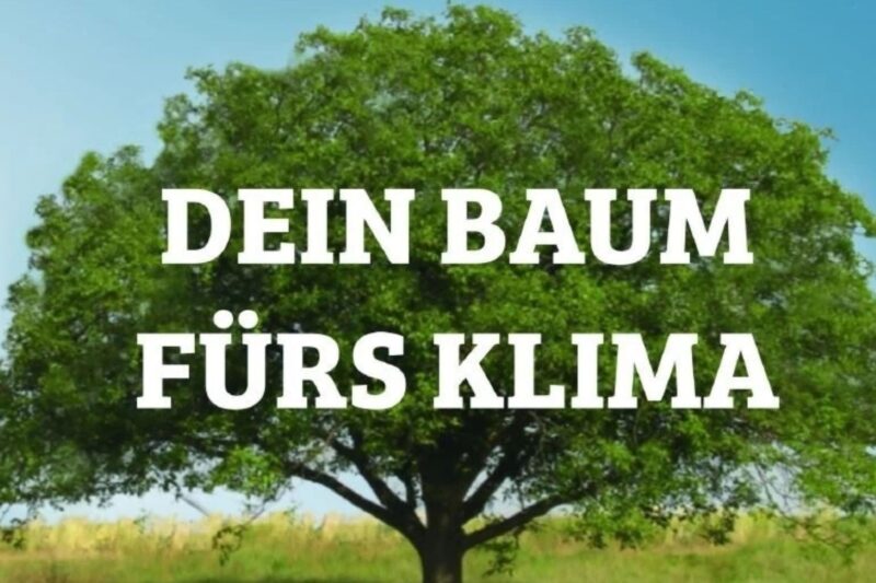 Bingen vergibt kostenlose Bäume für private Grundstücke