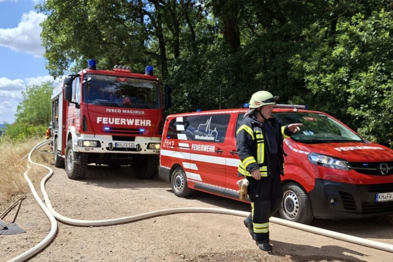 Feuerwehr der VG Langenlonsheim-Stromberg: 44 Einsätze im Juli