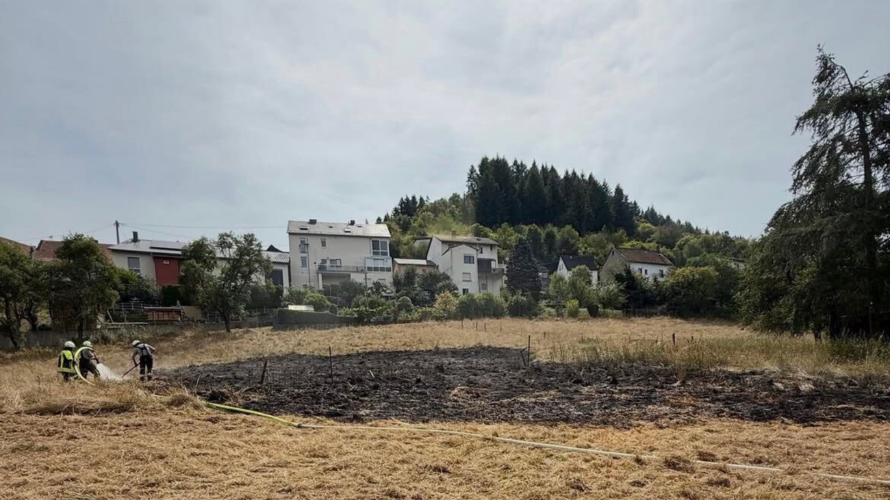 Feuerwehr und Bundeswehr verhindern Ausbreitung von Flächenbrand