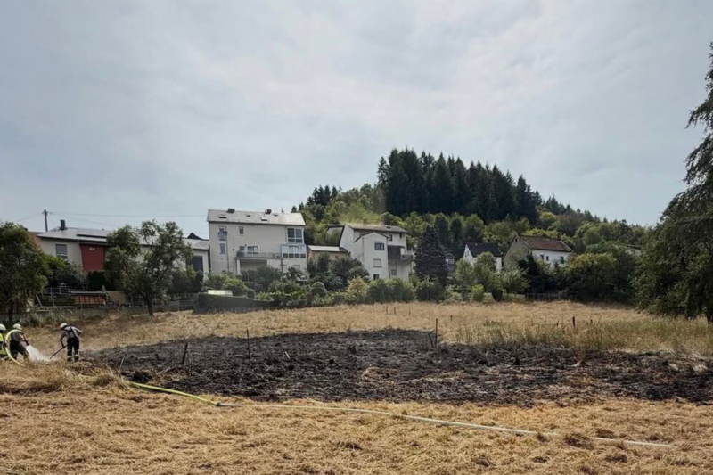 Feuerwehr und Bundeswehr verhindern Ausbreitung von Flächenbrand