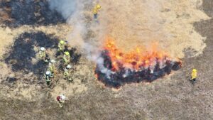 Feuerwehren trainieren Waldbrandbekämpfung im Soonwald