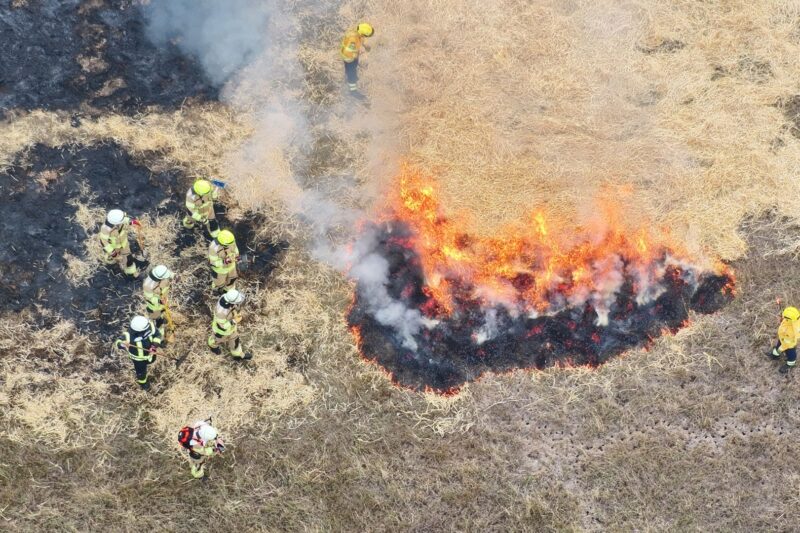 Feuerwehren trainieren Waldbrandbekämpfung im Soonwald