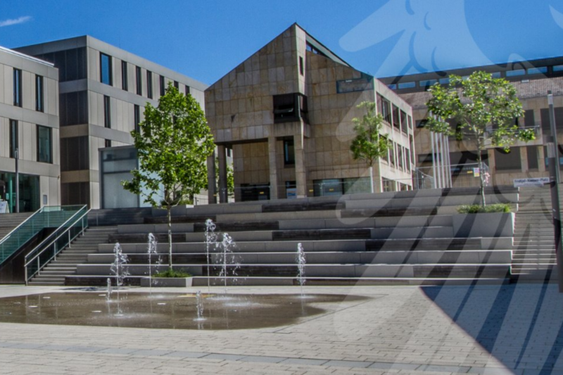 Frage an den Ingelheimer Stadtrat – so geht’s