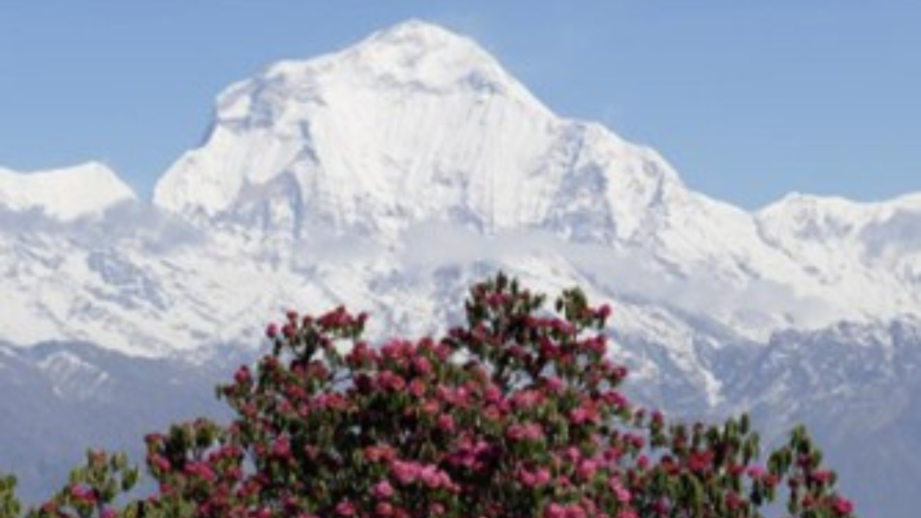 INTERPLAST ruft nach Flutkatastrophe in Nepal zu Spenden auf