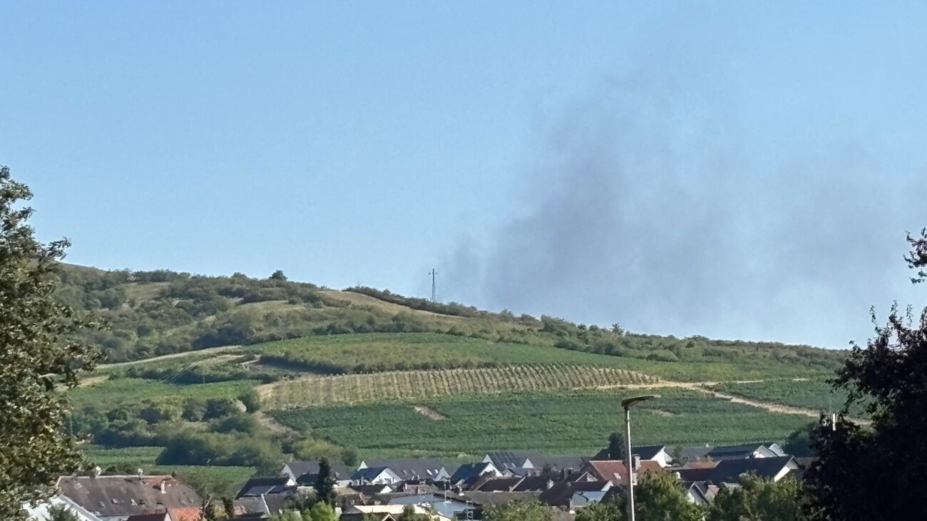 Großbrand in Sprendlingen. Lagerhalle brennt.
