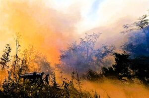 Mehr als 560 Brandeinsätze in Rheinland-Pfalz