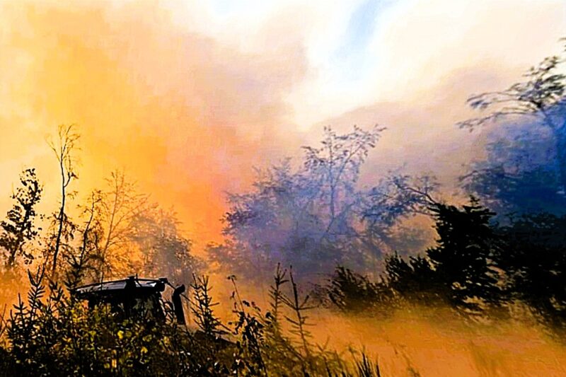 Mehr als 560 Brandeinsätze in Rheinland-Pfalz