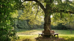 „Plauderbank“ startet auf dem Hauptfriedhof Bad Kreuznach