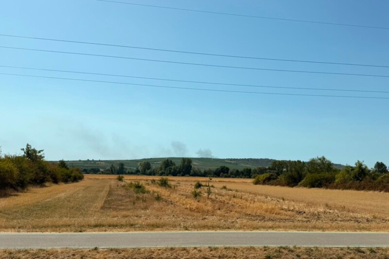 Starke Rauchentwicklung durch Brand in Sprendlingen