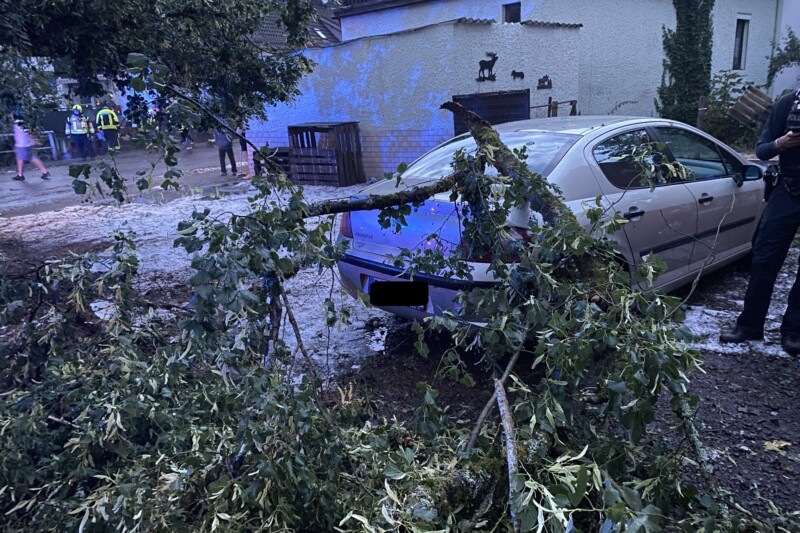 Sturm und Hagel verursachen Einsätze rund um Baumholder