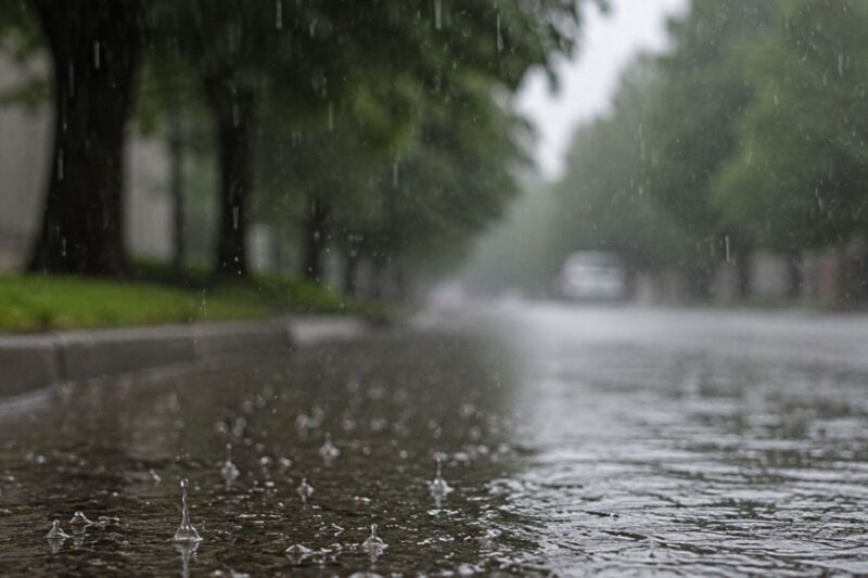 VG Wörrstadt startet Aktionsmonat zur Klimaanpassung