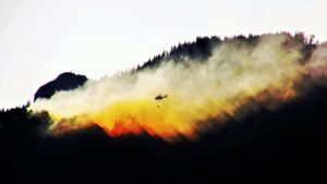 Waldbrände fordern Einsatzkräfte in der Nahe-Region