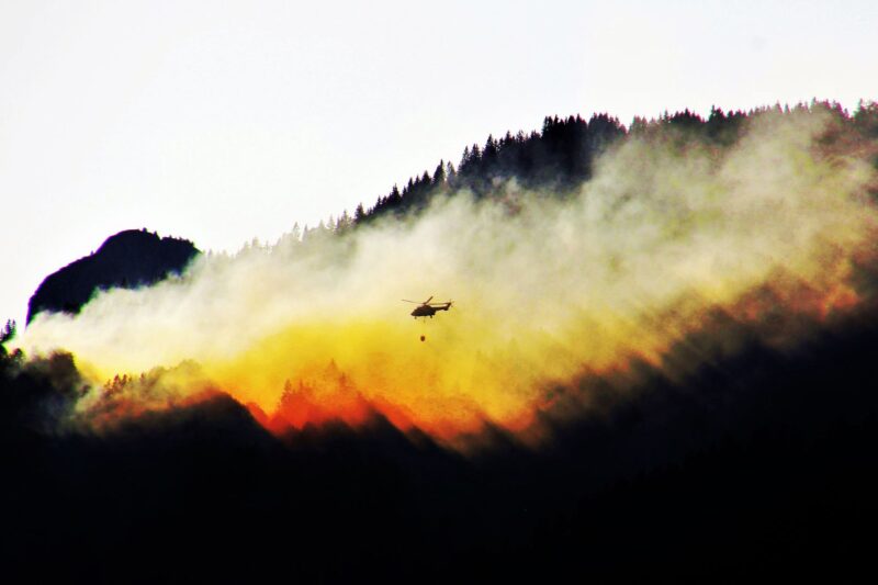 Waldbrände fordern Einsatzkräfte in der Nahe-Region