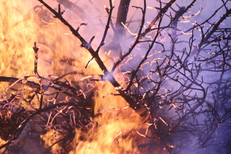 Waldbrände sorgen für Rauchgeruch im Kreis Bad Kreuznach