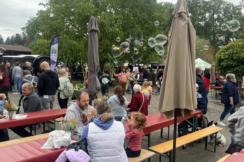 Walderlebnistag lockt über 15.000 Menschen an