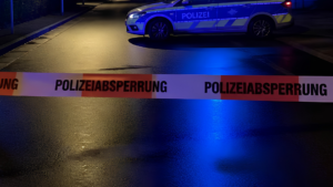 Fahrerin weicht Tier aus und prallt gegen drei Fahrzeuge