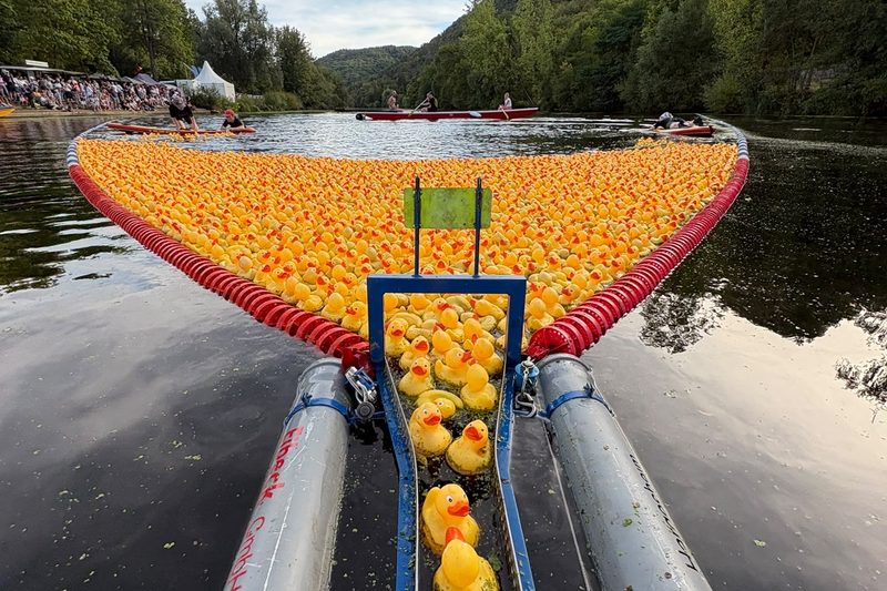 3.200 Rennenten bringen rund 10.000 Euro für den guten Zweck