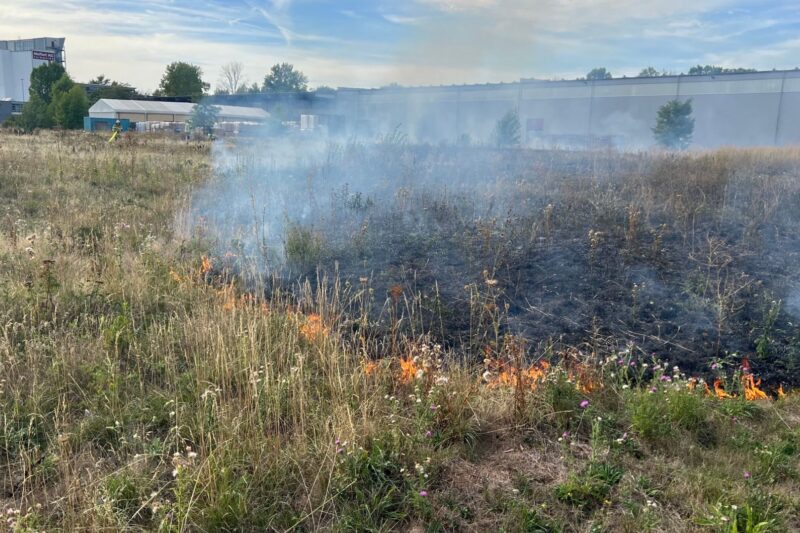 Bad Kreuznach: Flächenbrand in der Otto-Meffert-Straße