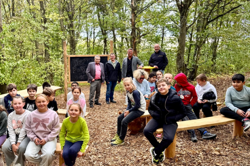 Grünes Klassenzimmer auf dem Wartberg ist wieder da