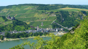 Tourismus Rheinhessen boomt: Hunsrück-Nahe verliert Gäste