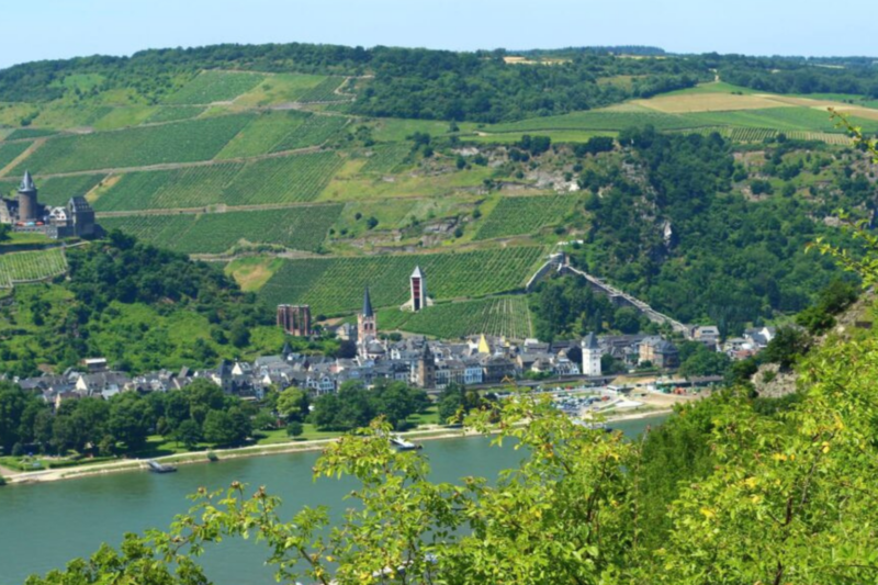 Tourismus Rheinhessen boomt: Hunsrück-Nahe verliert Gäste
