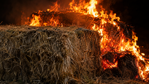 Mehrere Heuballen bei Hattgenstein in Brand geraten