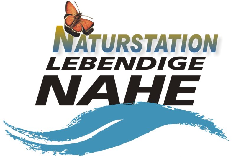 Vortrag der Naturstation: Pestizide in Blütenpollen