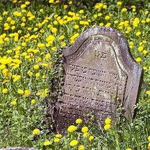 Besuch im Haus der Ewigkeit – Führung über den jüdischen Friedhof Stromberger Straße
