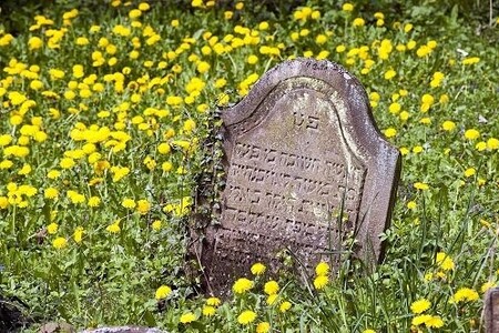 Besuch im Haus der Ewigkeit – Führung über den jüdischen Friedhof Stromberger Straße