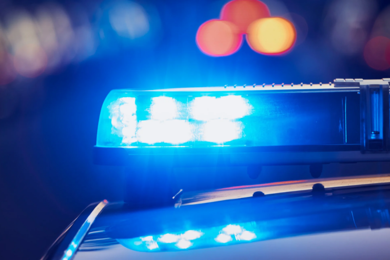 24-Jähriger flüchtet vor Polizeikontrolle in Alzey