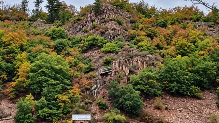 Stegfels in Bad Münster am Stein